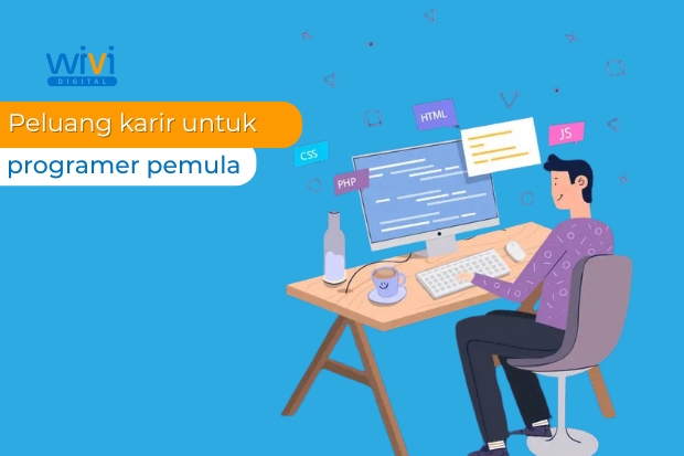 Peluang Karier untuk Programer Pemula